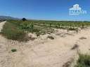 Finca en venta en Crevillent