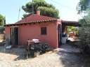 Finca en venta en Crevillent rebajada