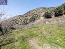 Parcela rústica en venta en Güejar Sierra rebajada