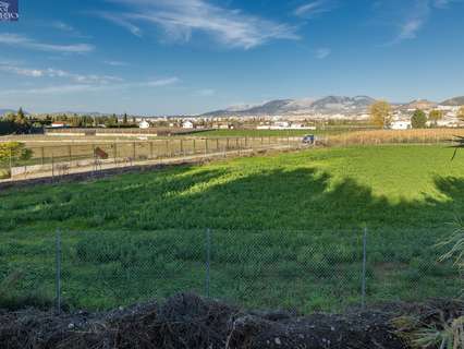 Parcela rústica en venta en Granada