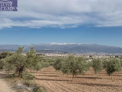 Parcela rústica en venta en Albolote