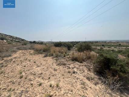 Parcela rústica en venta en Elche/Elx