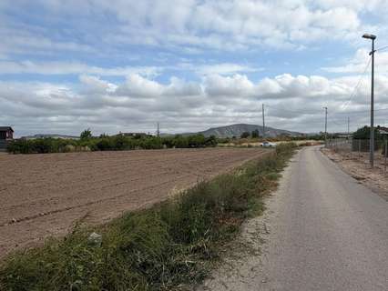 Parcela rústica en venta en Orihuela
