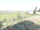 Parcela rústica en venta en La Bisbal del Penedès
