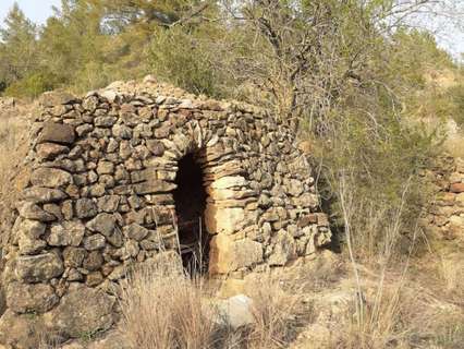 Parcela rústica en venta en Salomó