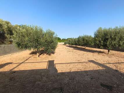 Parcela rústica en venta en Montferri