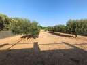 Parcela urbana en venta en Montferri
