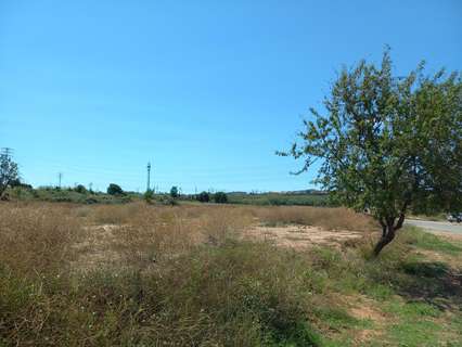 Parcela rústica en venta en Vilafranca del Penedès