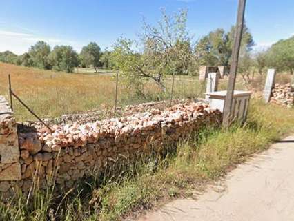 Parcela rústica en venta en Algaida