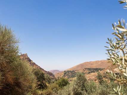 Parcela rústica en venta en Güejar Sierra