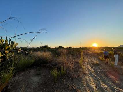 Parcela rústica en venta en Murcia