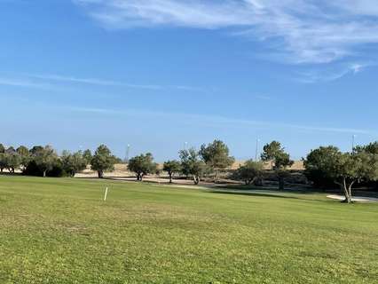 Parcela urbana en venta en Monforte del Cid