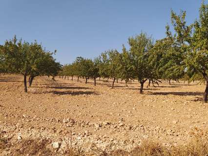 Parcela rústica en venta en Noblejas rebajada