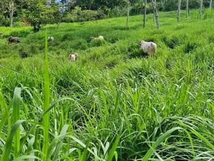 Finca en venta en Cuenca