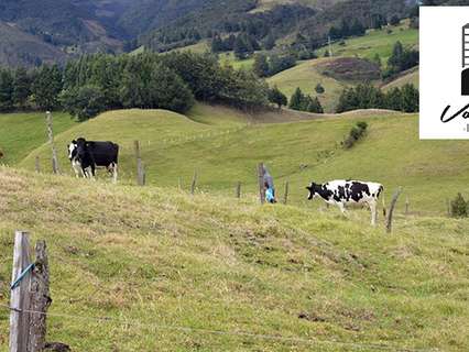 Finca en venta en Cuenca