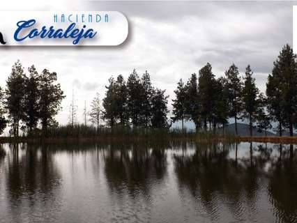 Parcela urbana en venta en Cuenca