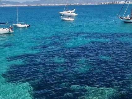 Casa en alquiler en Llucmajor