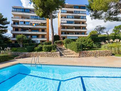 Planta baja en venta en Palma de Mallorca