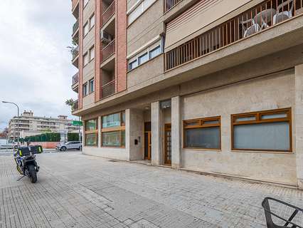 Local comercial en alquiler en Palma de Mallorca