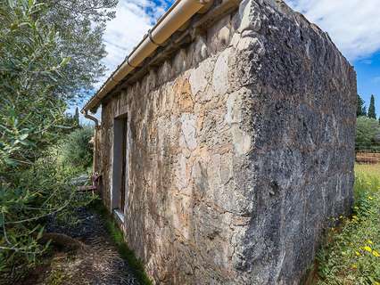 Parcela rústica en venta en Santa María del Camí