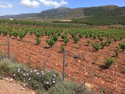 Parcela rústica en venta en Alcolea