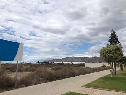 Parcela rústica en venta en El Ejido rebajada