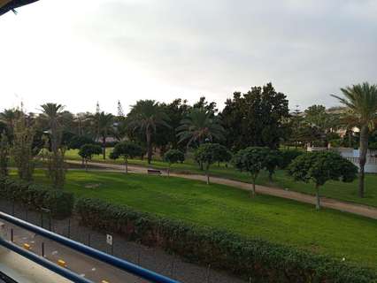 Estudio en alquiler en El Ejido zona Almerimar