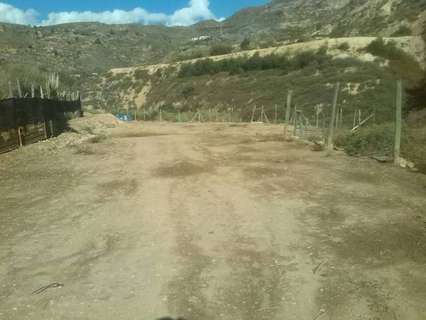 Parcela rústica en venta en Berja