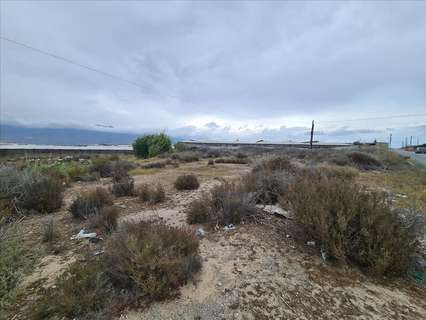 Parcela urbana en venta en El Ejido