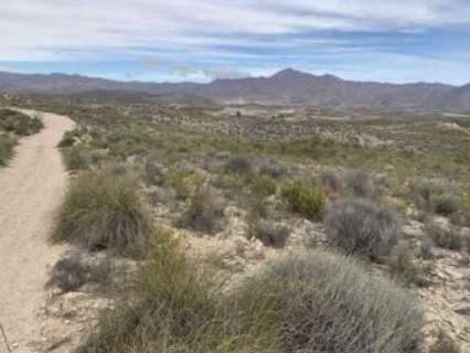 Parcela rústica en venta en Uleila del Campo
