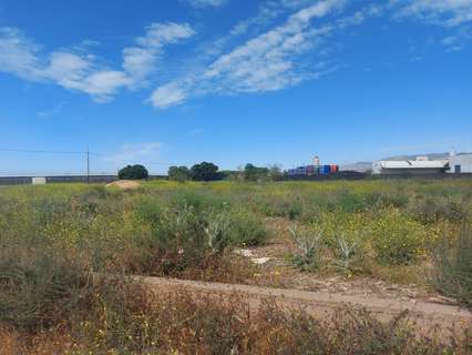 Parcela urbana en venta en El Ejido zona Santa María del Águila