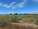 Parcela urbana en venta en El Ejido zona Santa María del Águila