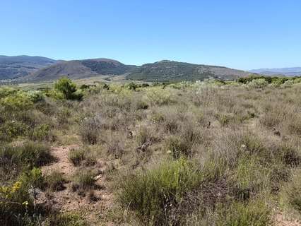 Parcela rústica en venta en Láujar de Andarax