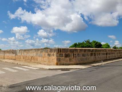 Parcela rústica en venta en Ses Salines