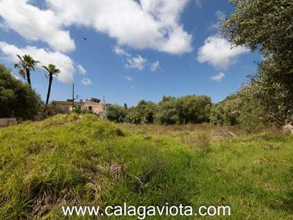 Parcela rústica en venta en Ses Salines