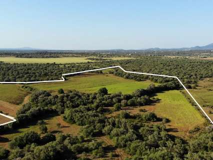 Parcela rústica en venta en Santanyí