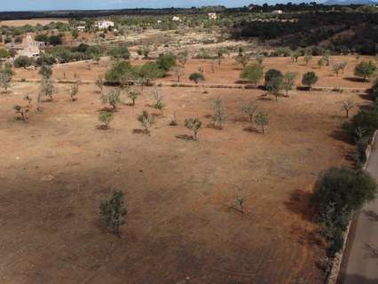 Parcela rústica en venta en Ses Salines rebajada