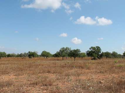 Parcela rústica en venta en Santanyí