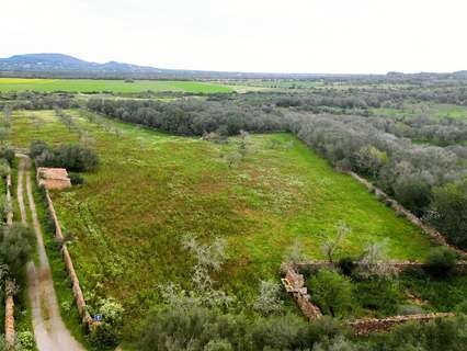 Parcela rústica en venta en Ses Salines