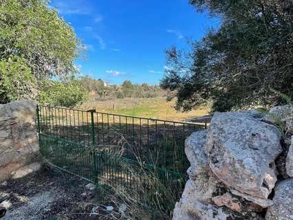 Parcela rústica en venta en Ses Salines