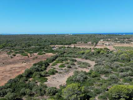 Parcela rústica en venta en Campos