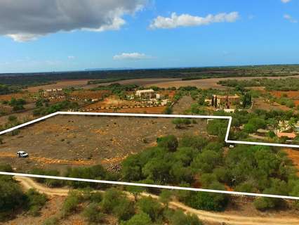 Parcela rústica en venta en Ses Salines