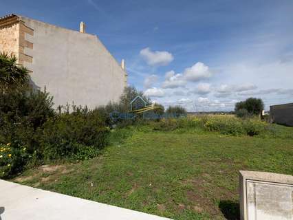 Parcela rústica en venta en Ses Salines
