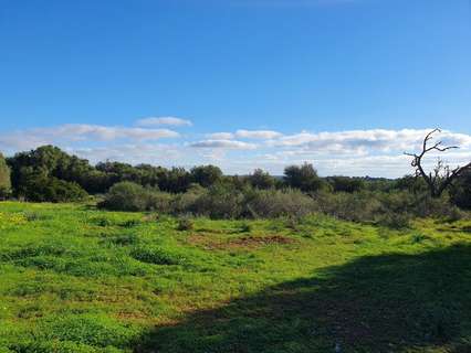 Parcela rústica en venta en Campos