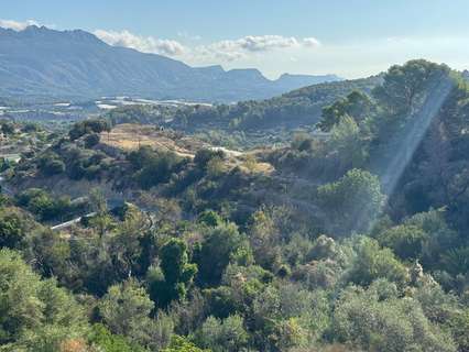 Parcela rústica en venta en La Nucía