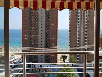 Estudio en venta en Benidorm