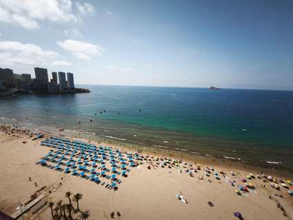 Estudio en venta en Benidorm