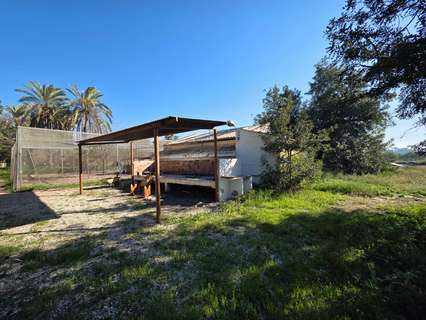 Parcela rústica en venta en Elche/Elx zona Perleta