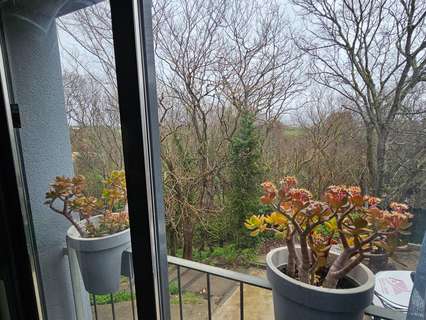 Casa en venta en Sant Jaume dels Domenys