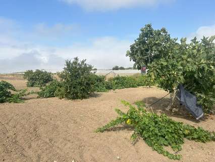 Parcela rústica en venta en Chipiona